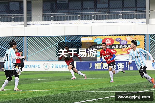 关于易游