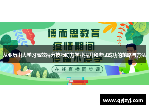 从亚历山大学习高效得分技巧助力学业提升和考试成功的策略与方法