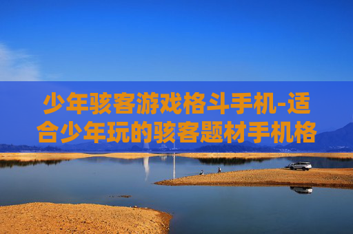 少年骇客游戏格斗手机-适合少年玩的骇客题材手机格斗游戏