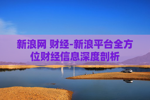 新浪网 财经-新浪平台全方位财经信息深度剖析