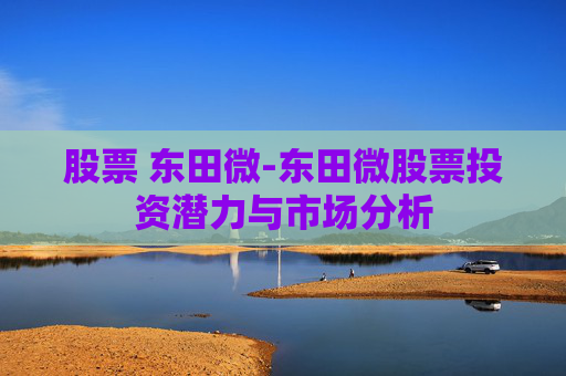 股票 东田微-东田微股票投资潜力与市场分析