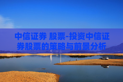 中信证券 股票-投资中信证券股票的策略与前景分析