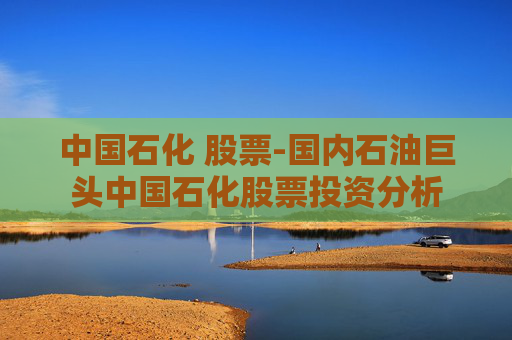 中国石化 股票-国内石油巨头中国石化股票投资分析