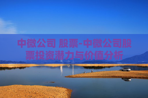 中微公司 股票-中微公司股票投资潜力与价值分析