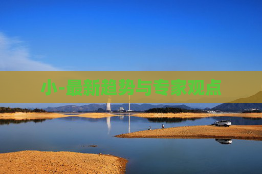 小-最新趋势与专家观点