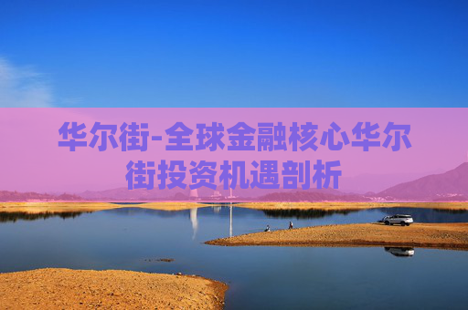 华尔街-全球金融核心华尔街投资机遇剖析