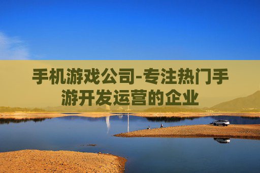手机游戏公司-专注热门手游开发运营的企业