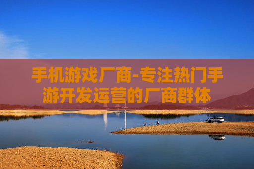 手机游戏厂商-专注热门手游开发运营的厂商群体