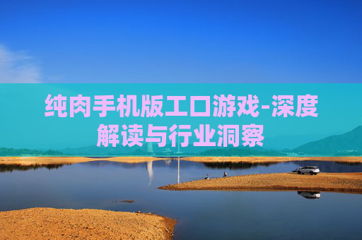纯肉手机版工口游戏-深度解读与行业洞察