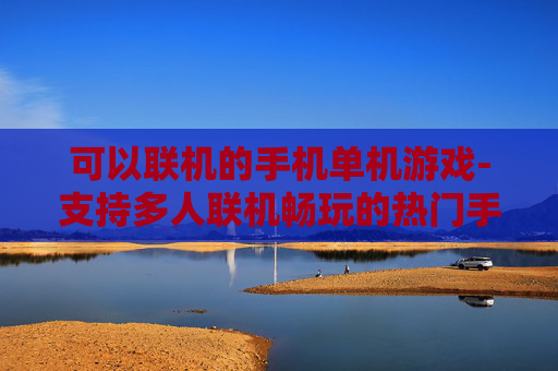 可以联机的手机单机游戏-支持多人联机畅玩的热门手机单机游戏