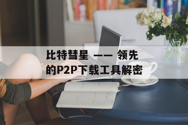 比特彗星 —— 领先的P2P下载工具解密